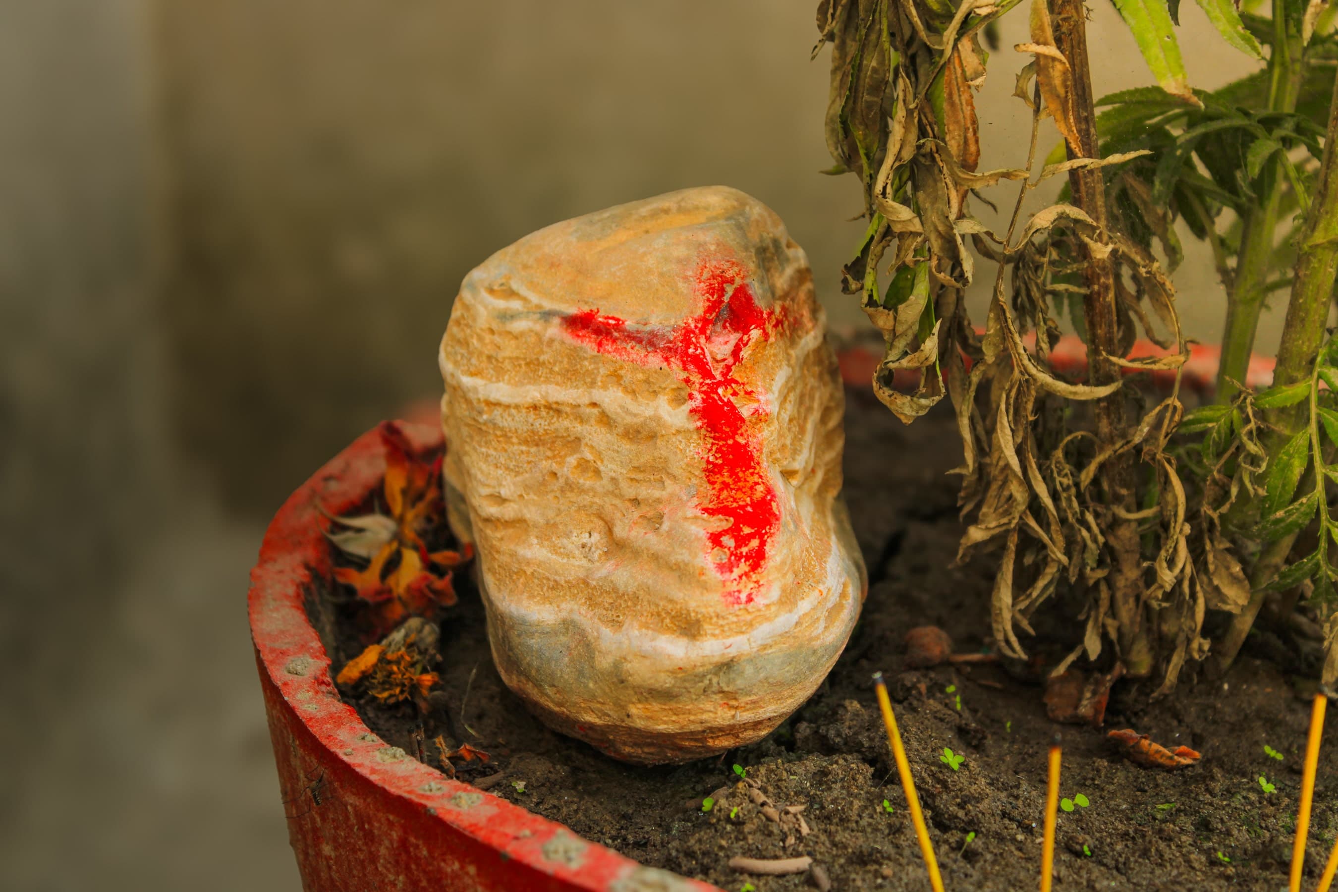 A stone (Shivling) offered tika and worshiped as Lord Shiva